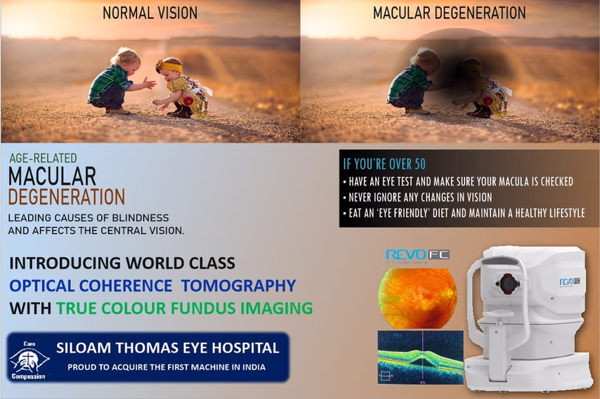 Normal Vision